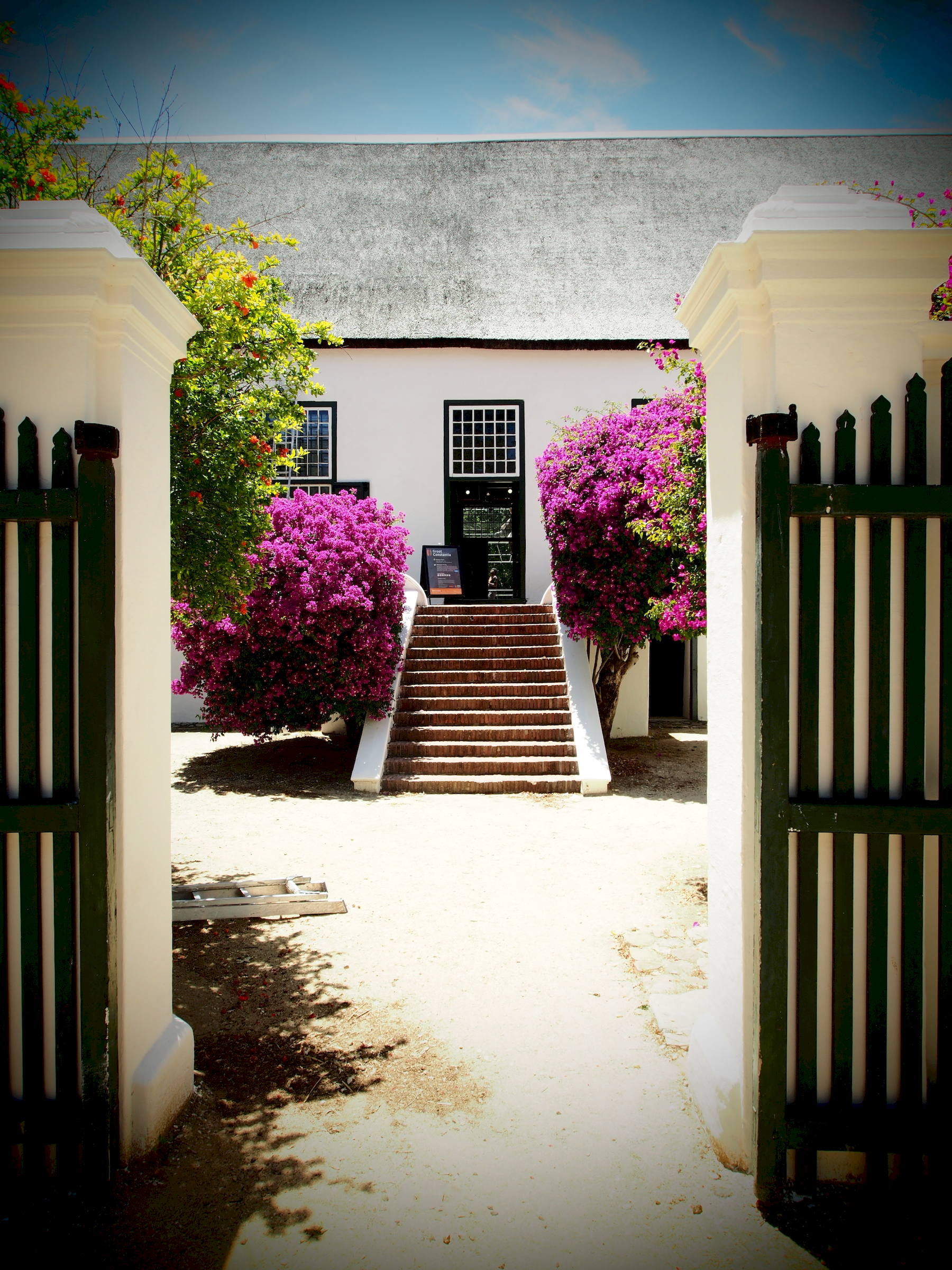 Groot Constantia
