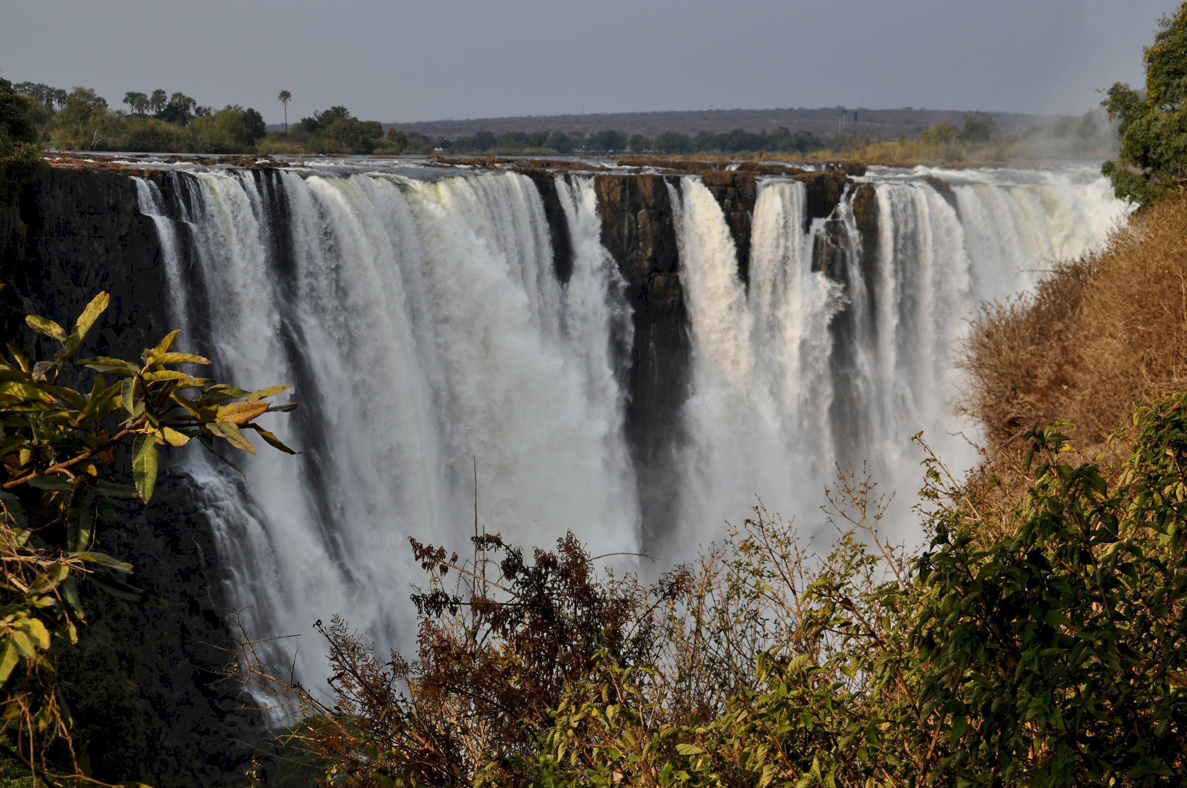 Zimbabwe Tour