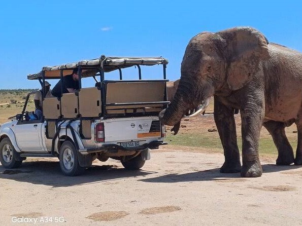 On the move