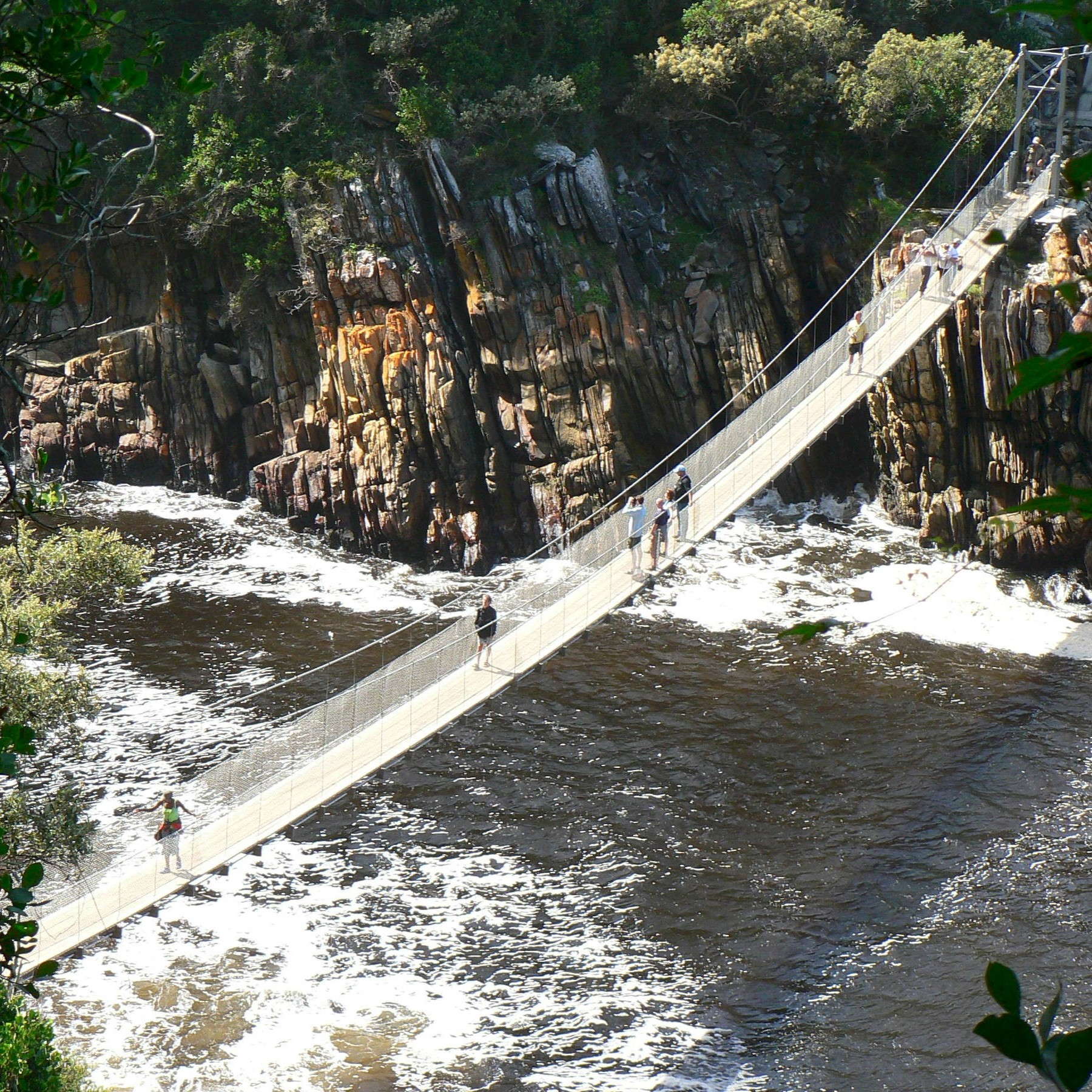 Tsitsikamma_suspension_bridge