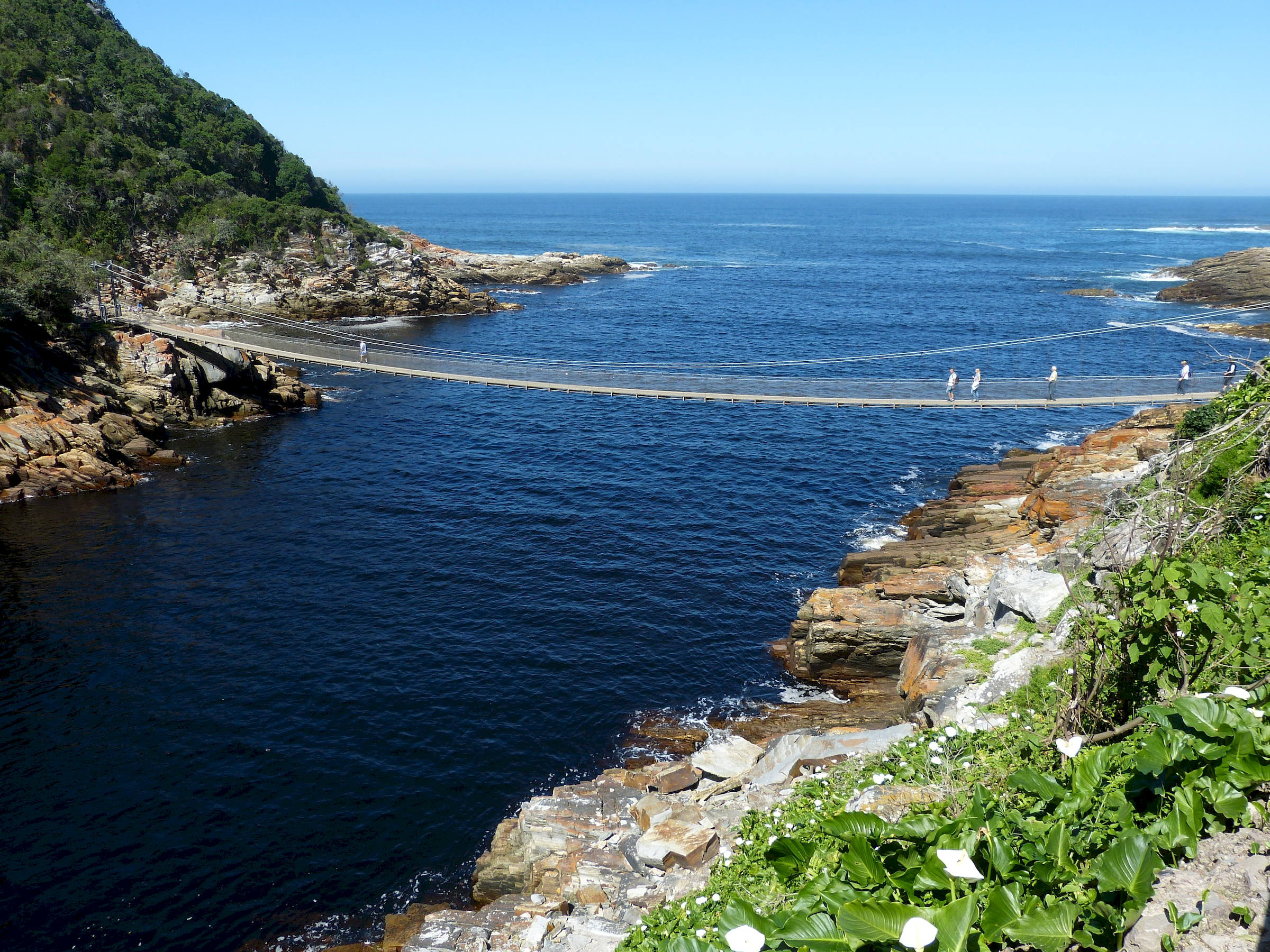 Tsitsikamma Suspension Bridge